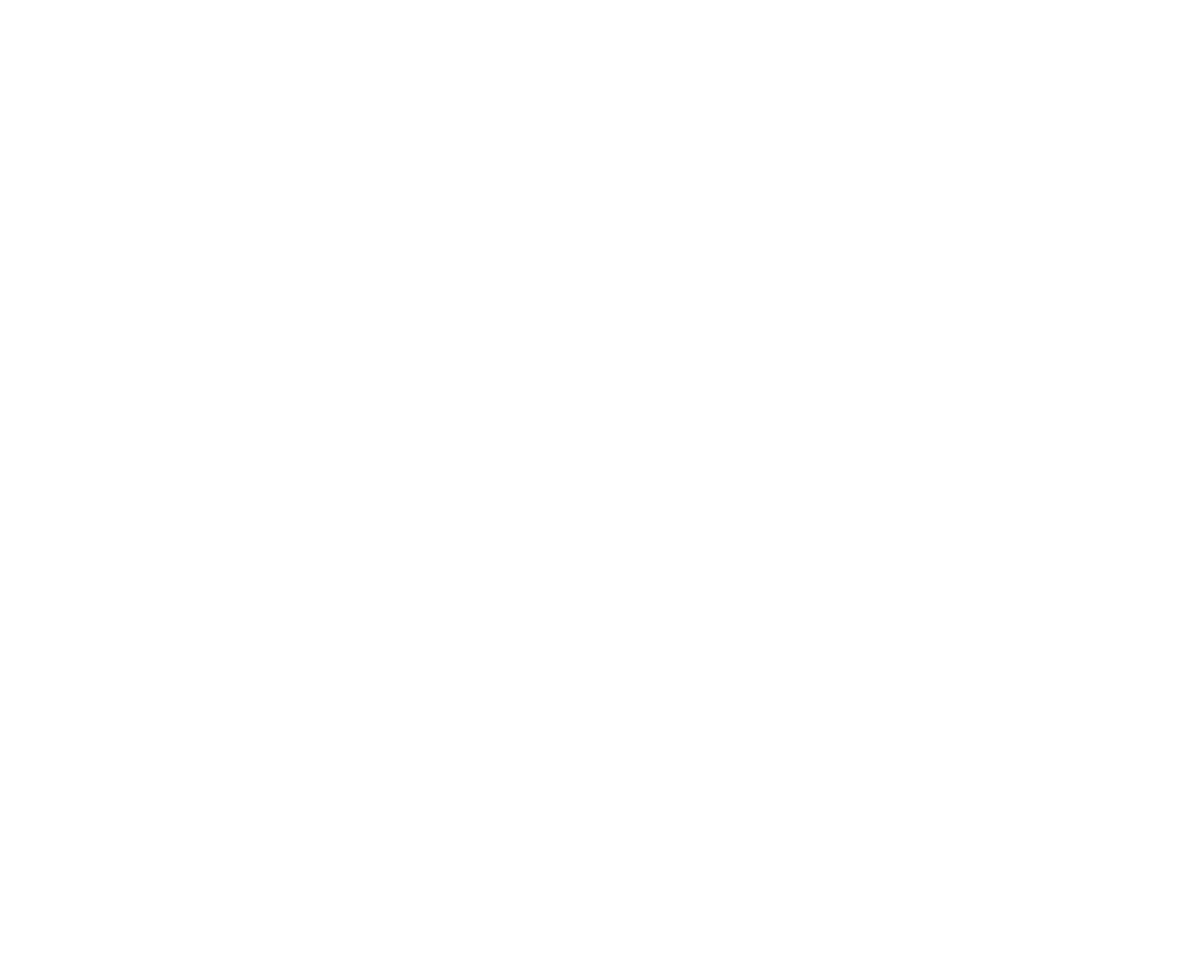 BBR LOGO MINI 2 WHITE